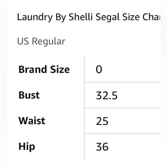 Evening Gown (laundry by shelli segal) - Picture 9 of 9